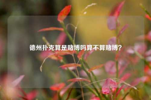 德州扑克算是赌博吗算不算赌博？