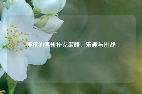 娱乐的德州扑克策略、乐趣与挑战