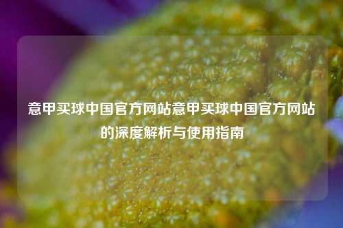 意甲买球中国官方网站意甲买球中国官方网站的深度解析与使用指南