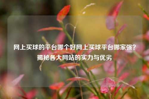 网上买球的平台哪个好网上买球平台哪家强？揭秘各大网站的实力与优劣