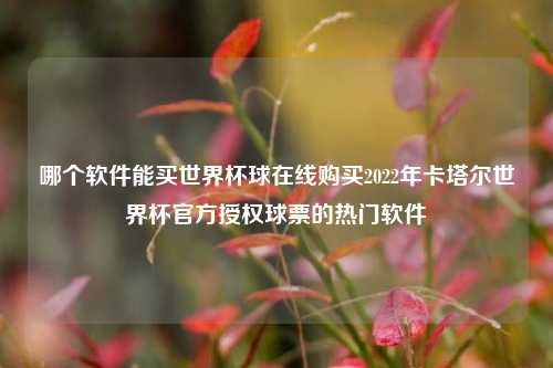 哪个软件能买世界杯球在线购买2022年卡塔尔世界杯官方授权球票的热门软件