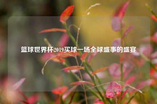 篮球世界杯2019买球一场全球盛事的盛宴
