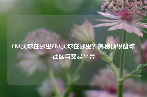 CBA买球在哪里CBA买球在哪里？揭秘顶级篮球社区与交易平台