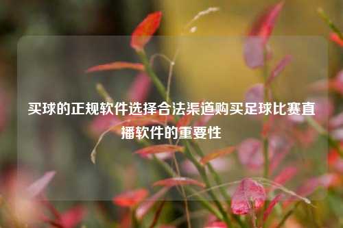 买球的正规软件选择合法渠道购买足球比赛直播软件的重要性