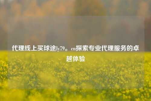 代理线上买球途ly79。cn探索专业代理服务的卓越体验