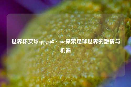 世界杯买球appga68·me探索足球世界的激情与机遇