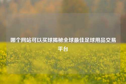 哪个网站可以买球揭秘全球最佳足球用品交易平台