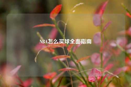 NBA怎么买球全面指南