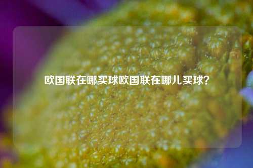 欧国联在哪买球欧国联在哪儿买球？