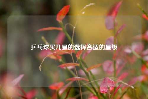 乒乓球买几星的选择合适的星级