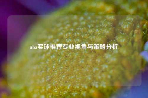 nba买球推荐专业视角与策略分析