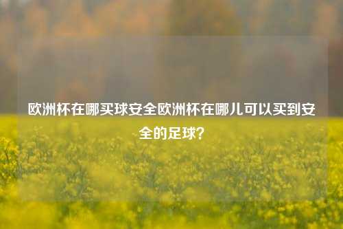 欧洲杯在哪买球安全欧洲杯在哪儿可以买到安全的足球？