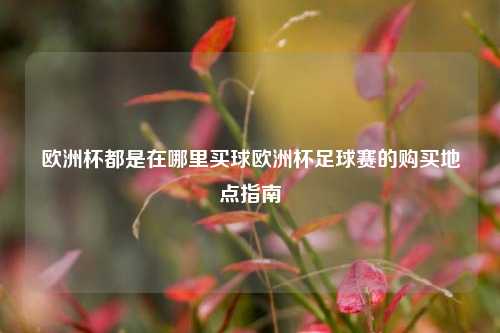 欧洲杯都是在哪里买球欧洲杯足球赛的购买地点指南