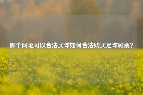 哪个网址可以合法买球如何合法购买足球彩票？