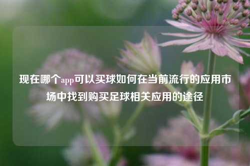 现在哪个app可以买球如何在当前流行的应用市场中找到购买足球相关应用的途径