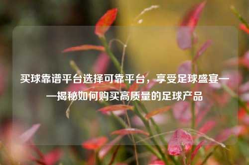 买球靠谱平台选择可靠平台，享受足球盛宴——揭秘如何购买高质量的足球产品