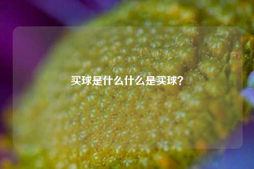 买球是什么什么是买球？