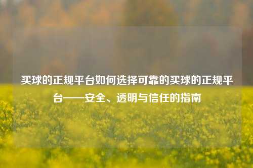 买球的正规平台如何选择可靠的买球的正规平台——安全、透明与信任的指南