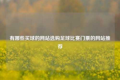 有哪些买球的网站选购足球比赛门票的网站推荐