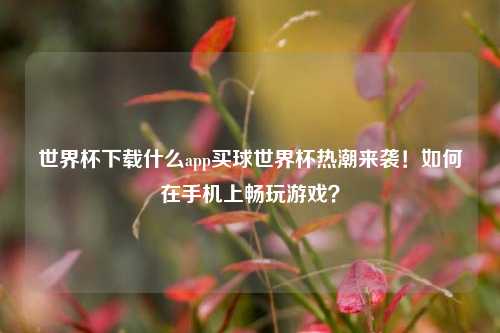 世界杯下载什么app买球世界杯热潮来袭！如何在手机上畅玩游戏？
