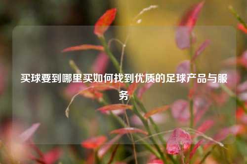 买球要到哪里买如何找到优质的足球产品与服务