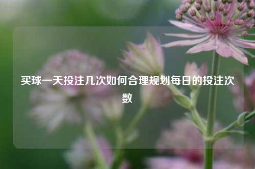 买球一天投注几次如何合理规划每日的投注次数