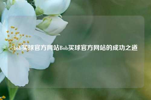 bob买球官方网站Bob买球官方网站的成功之道