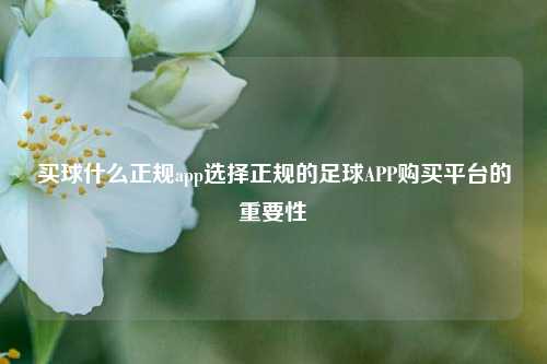 买球什么正规app选择正规的足球APP购买平台的重要性