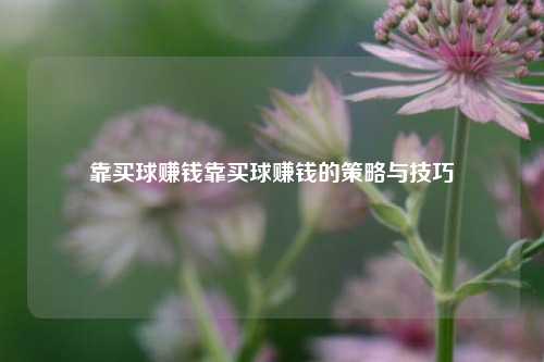 靠买球赚钱靠买球赚钱的策略与技巧
