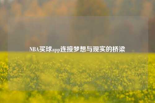 NBA买球app连接梦想与现实的桥梁