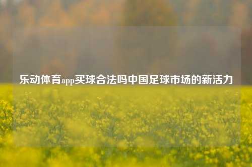 乐动体育app买球合法吗中国足球市场的新活力