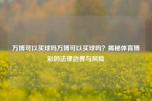 万博可以买球吗万博可以买球吗？揭秘体育博彩的法律边界与风险