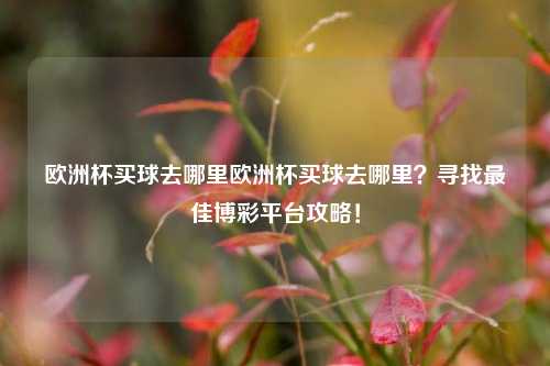 欧洲杯买球去哪里欧洲杯买球去哪里？寻找最佳博彩平台攻略！
