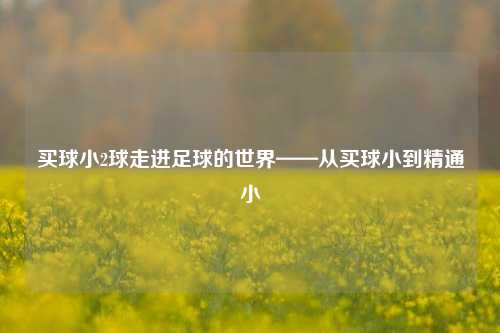 买球小2球走进足球的世界——从买球小到精通小