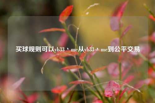 买球规则可以yb33丶me从yb33丶me到公平交易