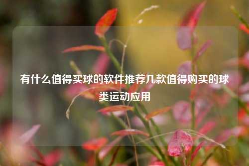 有什么值得买球的软件推荐几款值得购买的球类运动应用