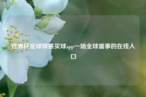世界杯足球球赛买球app一场全球盛事的在线入口