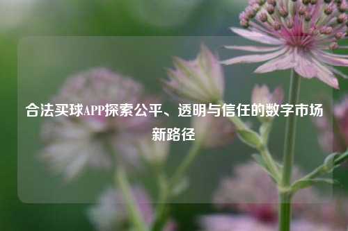 合法买球APP探索公平、透明与信任的数字市场新路径