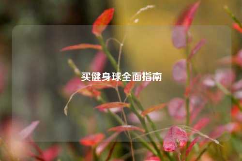 买健身球全面指南