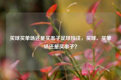 买球买单场还是买串子足球投注，买球、买单场还是买串子？