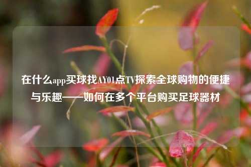 在什么app买球找AY01点TV探索全球购物的便捷与乐趣——如何在多个平台购买足球器材
