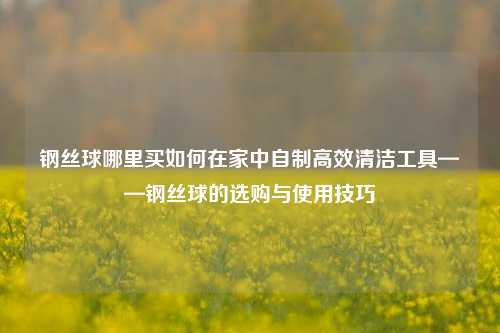 钢丝球哪里买如何在家中自制高效清洁工具——钢丝球的选购与使用技巧