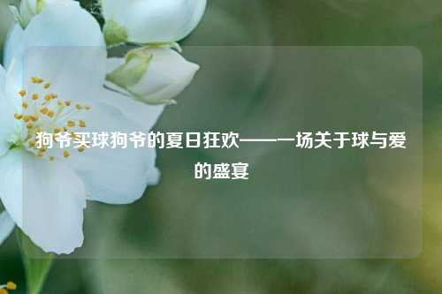 狗爷买球狗爷的夏日狂欢——一场关于球与爱的盛宴