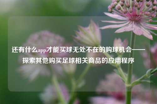 还有什么app才能买球无处不在的购球机会——探索其他购买足球相关商品的应用程序
