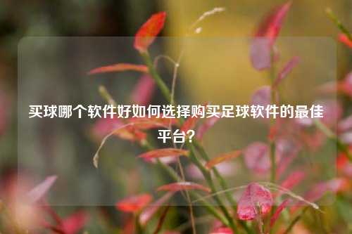 买球哪个软件好如何选择购买足球软件的最佳平台？