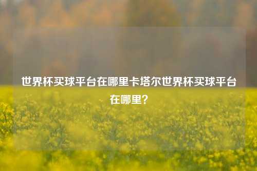 世界杯买球平台在哪里卡塔尔世界杯买球平台在哪里？