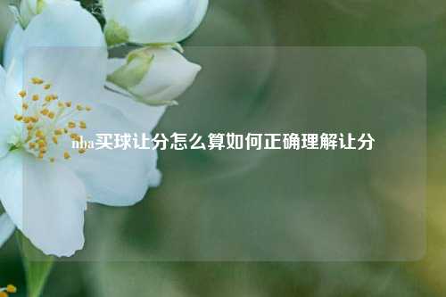 nba买球让分怎么算如何正确理解让分