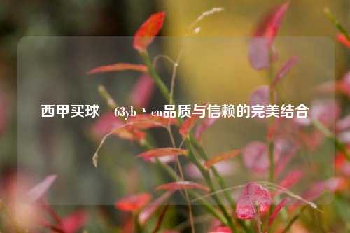 西甲买球喆63yb丶cn品质与信赖的完美结合