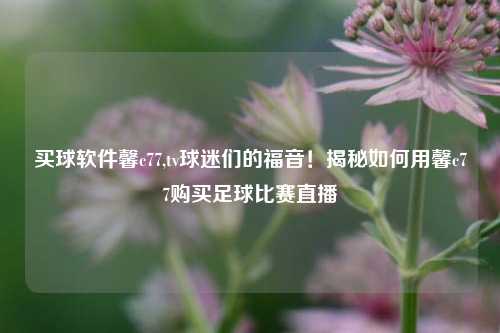 买球软件馨c77,tv球迷们的福音！揭秘如何用馨c77购买足球比赛直播