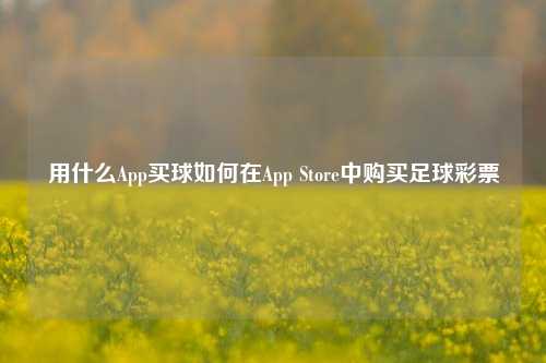 用什么App买球如何在App Store中购买足球彩票